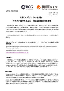 251212_アップルフェノンマウス小腸での糖吸収阻害作用確認のお知らせのサムネイル